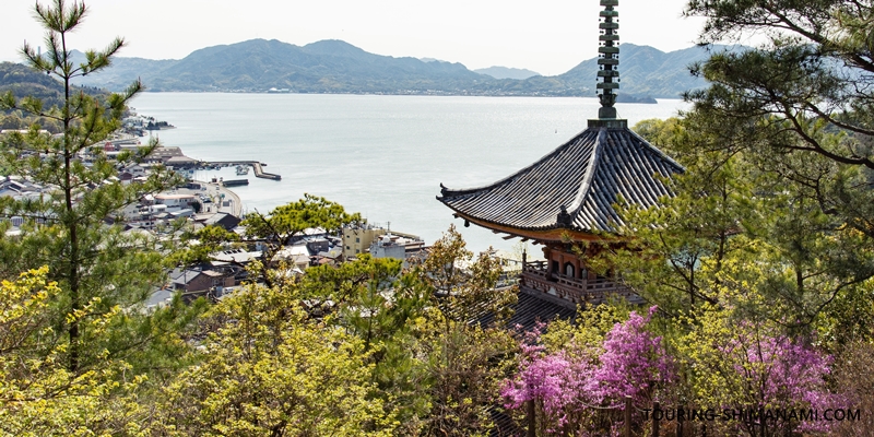 【写真】しまなみ海道の立寄りスポット：生口島の向上寺の三重塔は好景観スポット