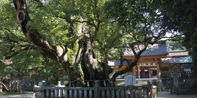 【写真】しまなみ海道の立寄りスポット：大三島の有名な神社で観光スポットでもある大山祇神社