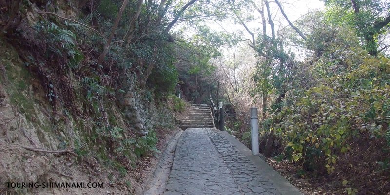 【写真】来島海峡大橋を望む絶景展望台：駐車場から糸山展望台へと登る遊歩道