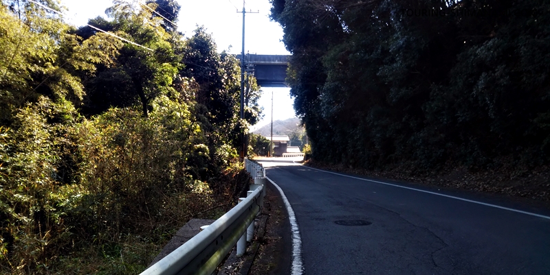 【写真】亀老山展望公園ヒルクライム：ゆるやかな坂道を800メートルすすむ