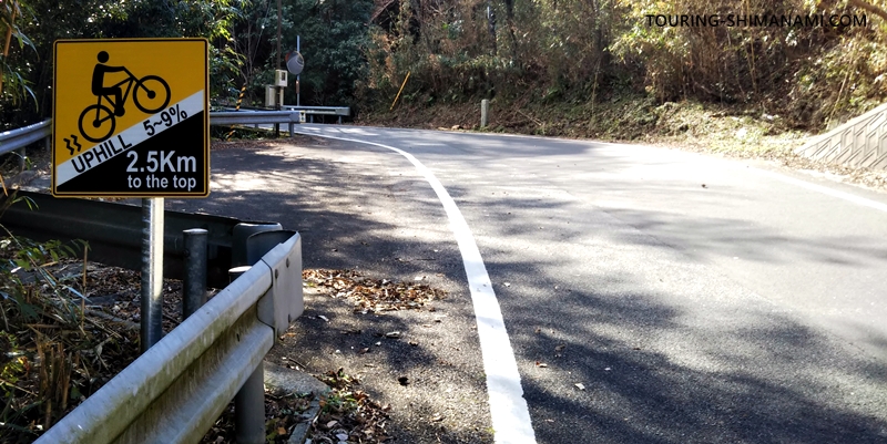 【写真】亀老山展望公園ヒルクライム：亀老山ヒルクライムの序盤と勾配看板