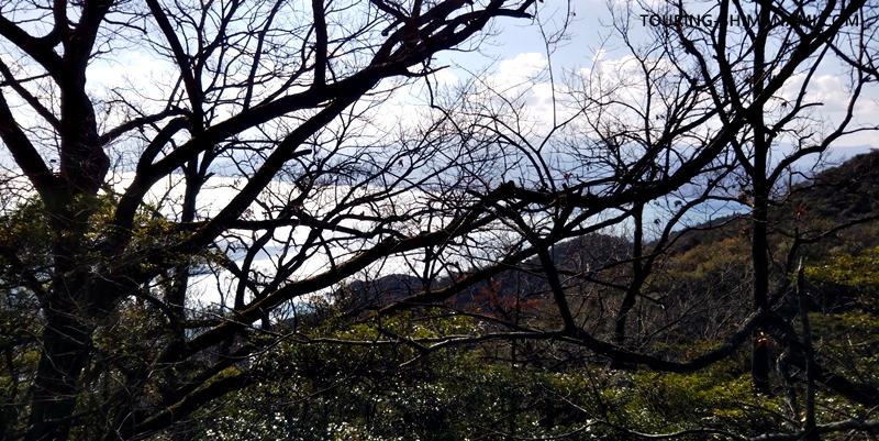 【写真】亀老山展望公園ヒルクライム：山頂が近く海が見えてきた