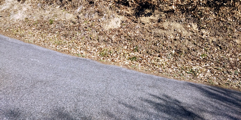 【写真】亀老山展望公園ヒルクライム：亀老山への坂道の勾配写真イメージ