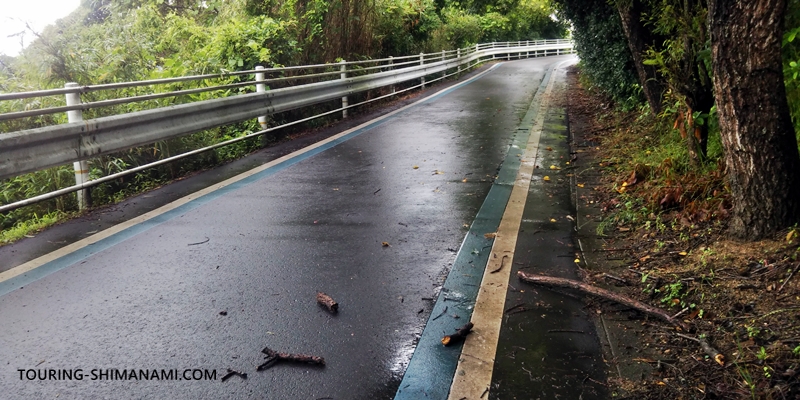 【写真】雨天時のサイクリング：雨や風が強いと路面に木々は落ち葉も