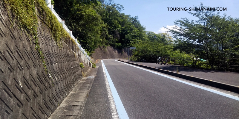 【写真】しまなみ海道のメインルート：大三島橋から大三島へとサイクリングロードを下る