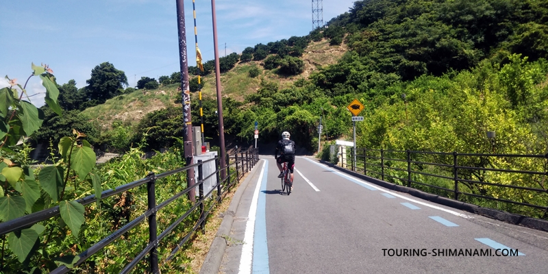 【写真】しまなみ海道のメインルート：多々羅大橋から生口島へ降りるサイクリングロード