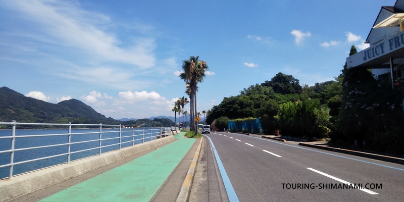 【写真】しまなみ海道のメインルート：ヤシの木のような街路樹のあるエリア