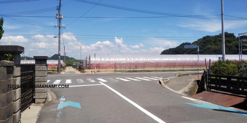 【写真】しまなみ海道のメインルート：市道と県道の合流T字路は右方向へ
