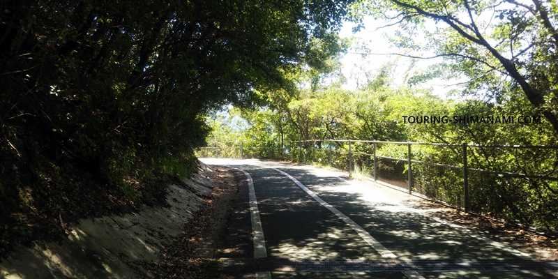 【写真】しまなみ海道のメインルート：森の中を抜けていくようなサイクリングロード