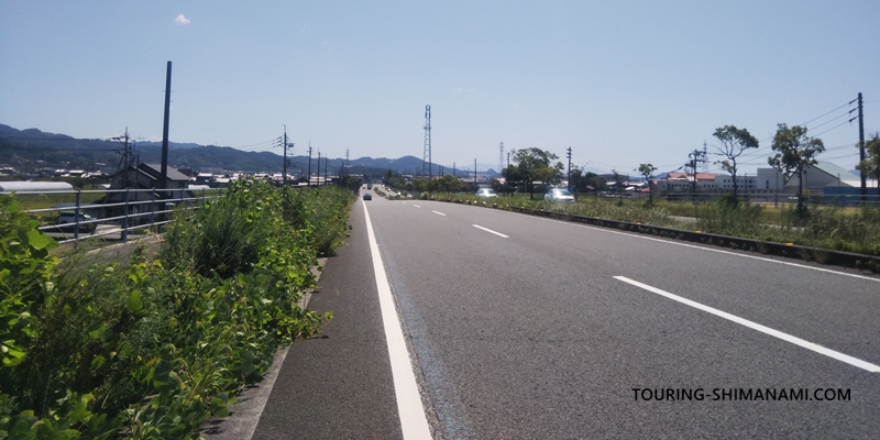 【写真】はまかぜ海道サイクリング：ブルーラインは、松山北条バイパスへと誘導している