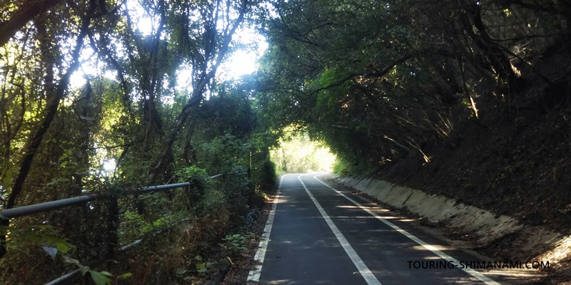 【写真】1日モデルコース・尾道スタート：因島大橋へと緩やかに登るサイクリングロード