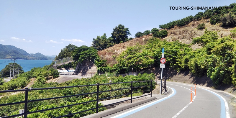 【写真】しまなみ海道で特に景色の良い区間：レモン谷のサイクリングロードを下る