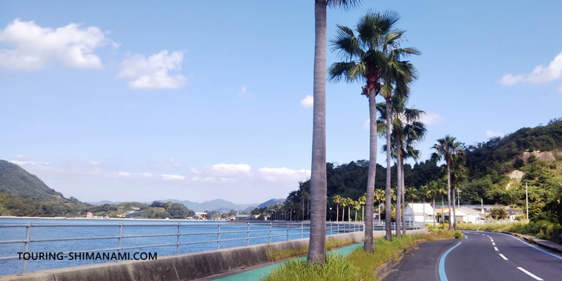 【写真】生口島のおすすめ宿泊施設：生口島のサイクリングメインルート