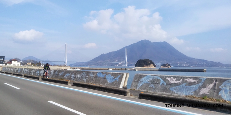 【写真】大三島の宿泊施設：大三島のサイクリングロード・メインルート