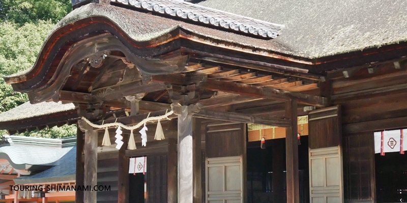 【写真】しまなみ海道ドライブのモデルコース：大三島の有名な神社、大山祇神社