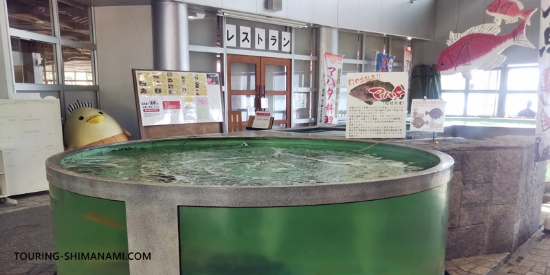 【写真】大三島でランチにおすすめの飲食店：道の駅 多々羅しまなみ公園