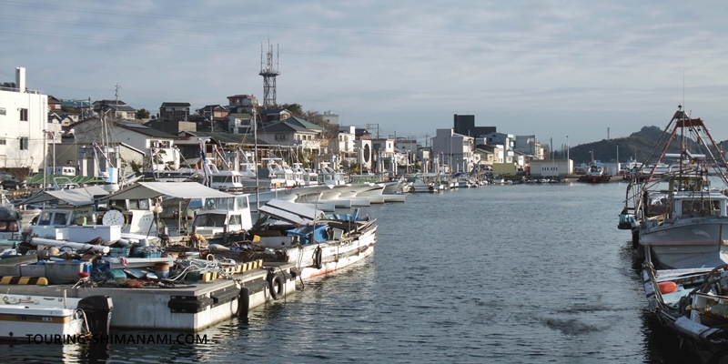 【写真】高速バスシトラスライナー：しまなみ海道・因島土生エリアの漁港の風景