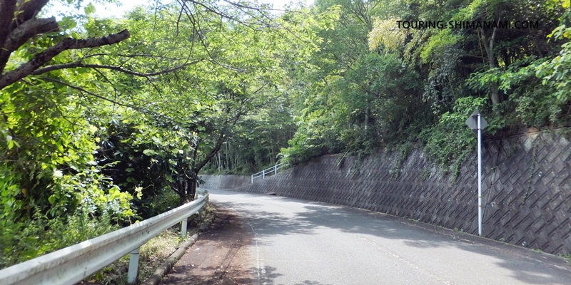 【写真】向島の外周コース：大町の集落まで小さな丘を越える