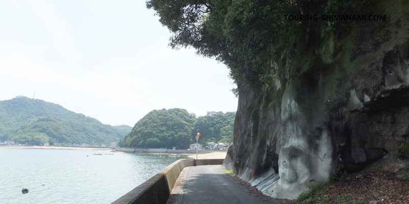 【写真】向島の外周コース：断崖絶壁の縁を縫うように進む道