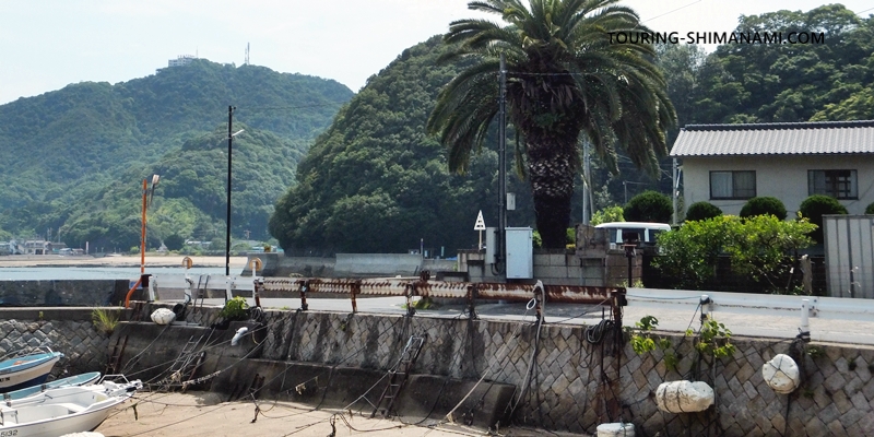 【写真】向島の外周コース：船置き場を迂回するようなクランクの道