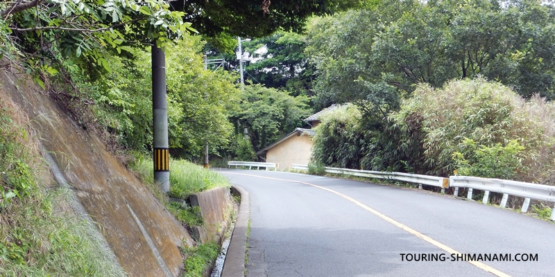 【写真】因島西側の外周コース：小さな丘がこの区間唯一の登坂