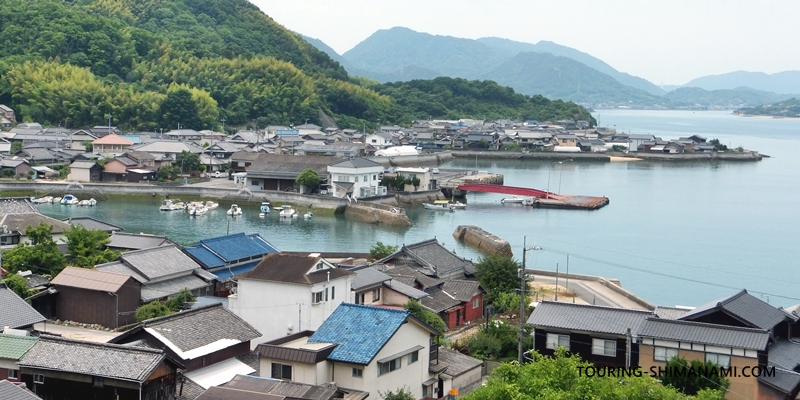 【写真】因島西側の外周コース：除虫菊畑への途中からの重井西港