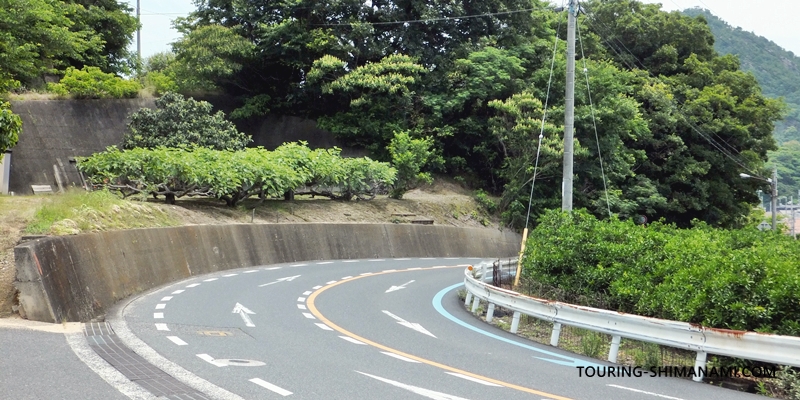 【写真】因島西側の外周コース：除虫菊畑は行き止まりなので戻る