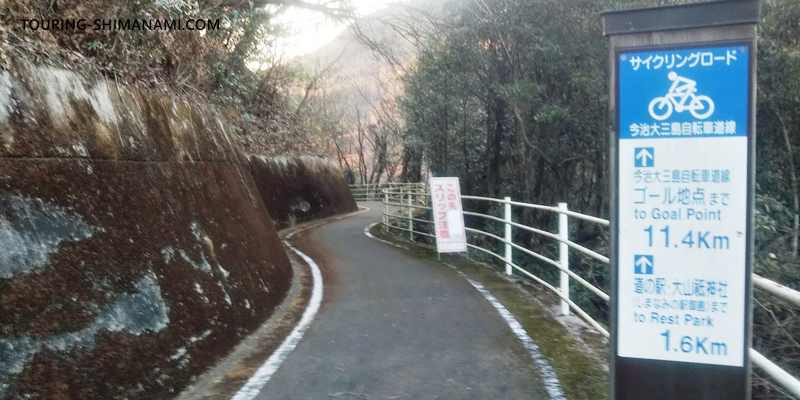 【写真】しまなみ海道のメインルートと外周コース：大山祇神社へ島を横切る三村峠