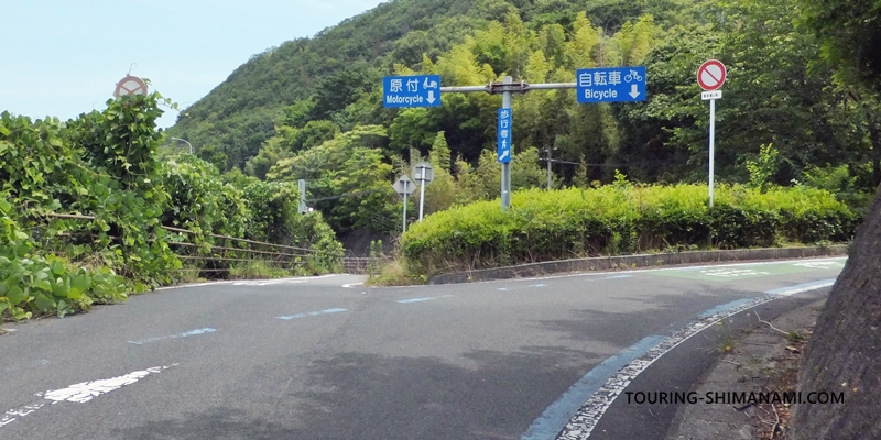 【写真】しまなみ海道の交通手段：自転車歩行者道と原付バイク道分岐の例