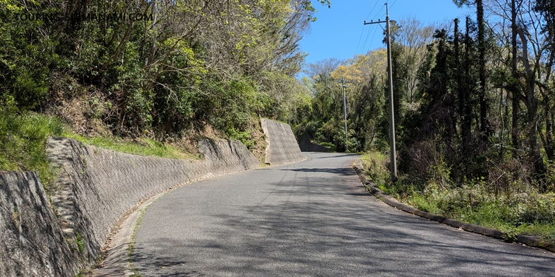 【写真】開山公園の桜ヒルクライム：登り口からいきなり急な坂道が始まる