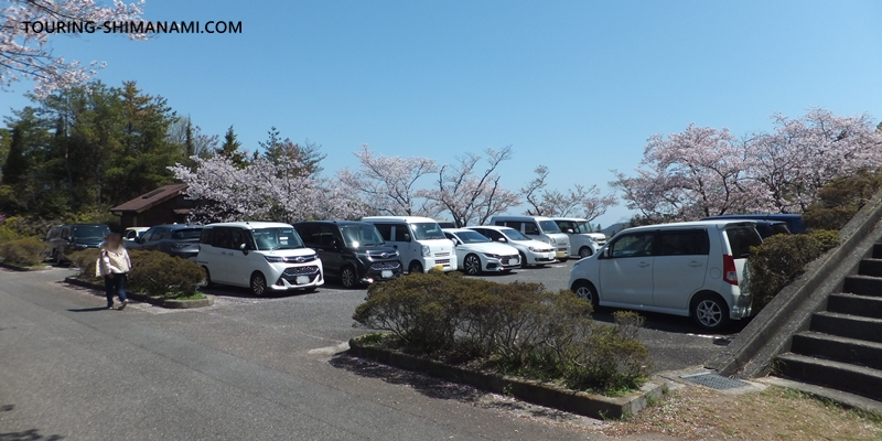 【写真】しまなみ海道の桜サイクリングレポート：駐車場は常に満車の状態が続いていました