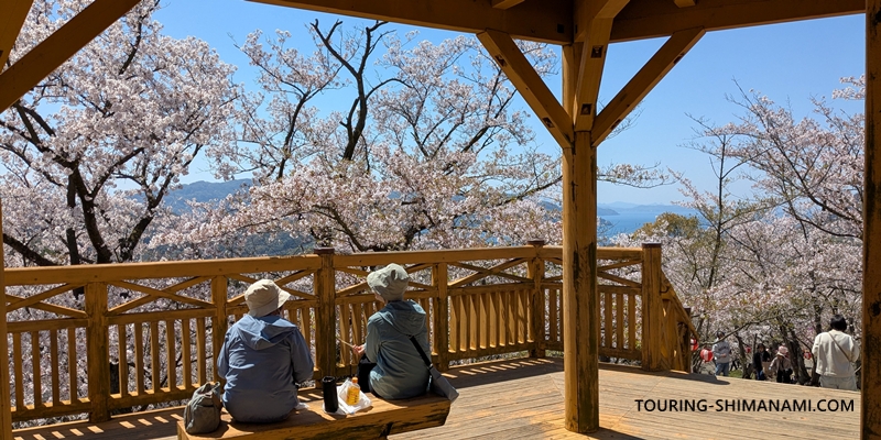 【写真】開山公園の桜ヒルクライム：お花見を楽しむ地元の方々の姿