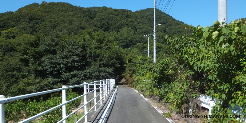 【写真】大三島の外周コース:肥海峠にはサイクリングロードがあります