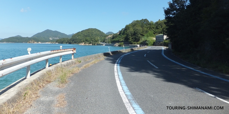 【写真】大三島の外周コース: