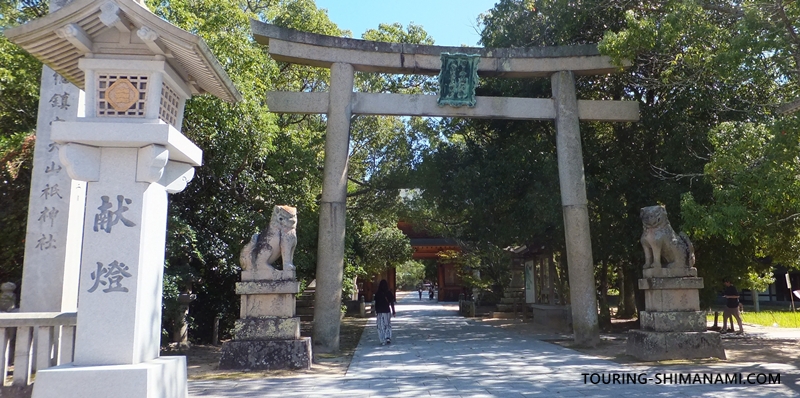 【写真】大三島の外周コース:大山祇神社は必ず寄りたいスポット