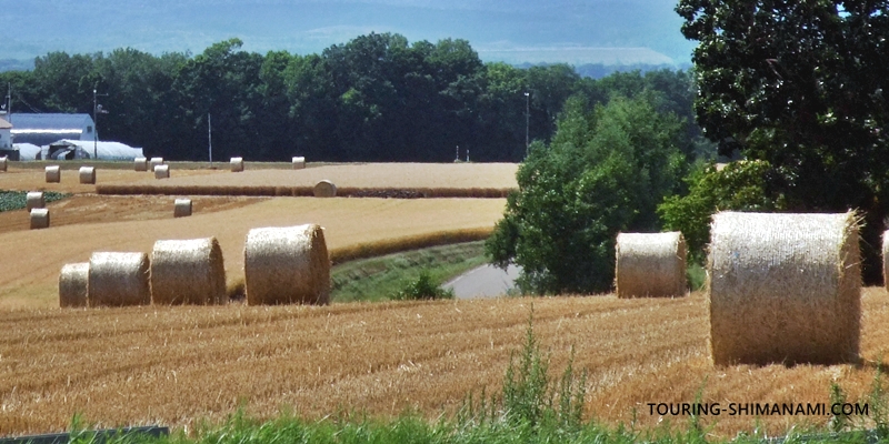 【写真】日本のサイクリングルート:牧草ロールの風景、牧場の匂いがしてくる