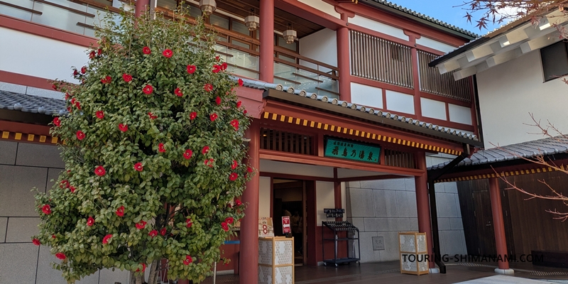 【写真】道後温泉で日帰り入浴：お湯は同じだけどコンセプトが違う