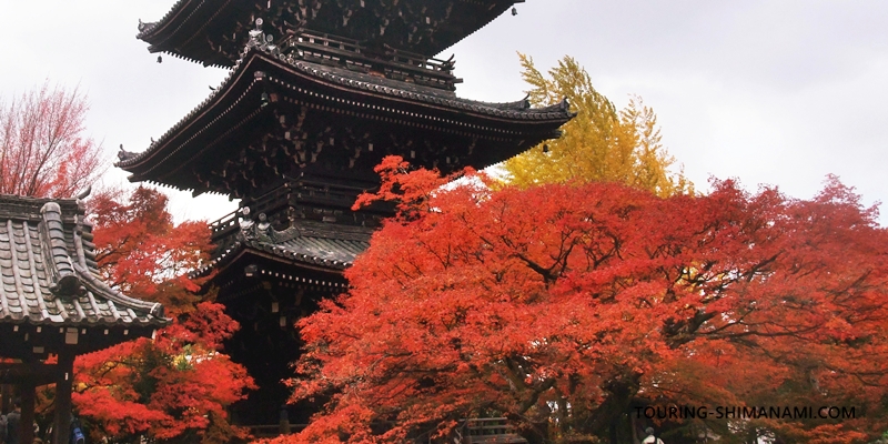 【写真】サイクリングルートの選び方：目的地やテーマがあるとメリハリが生まれる