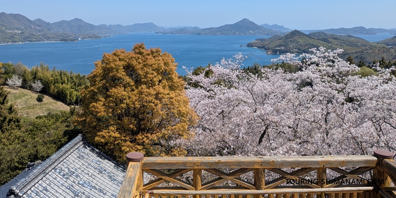 【写真】開山公園の桜ヒルクライム：桜の時季でなくても展望は一見の価値あり