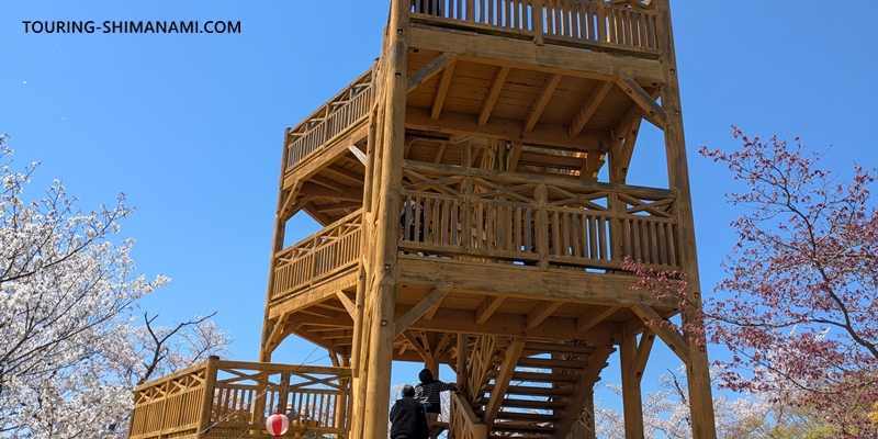 【写真】開山公園の桜ヒルクライム：開山の中央にある木造の展望台