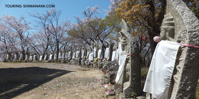 【写真】開山公園の桜ヒルクライム：展望台の周囲には石像が並ぶ