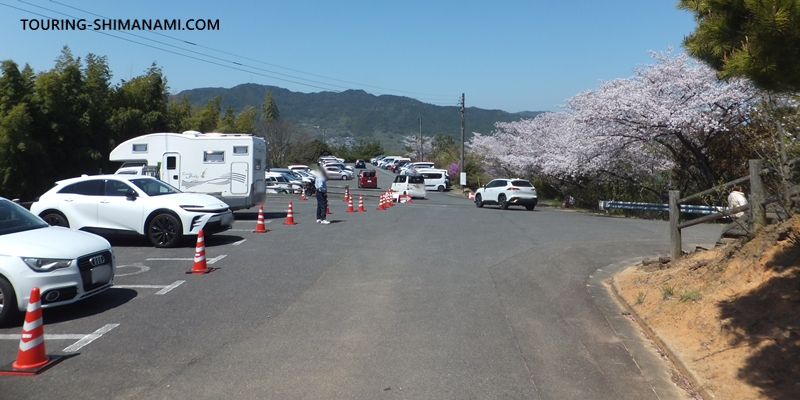 【写真】開山公園の桜ヒルクライム：満車の駐車場で警備員さんが誘導していました