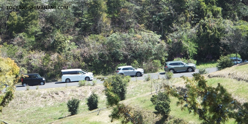 【写真】開山公園の桜ヒルクライム：山頂付近には駐車場を待つ車の列