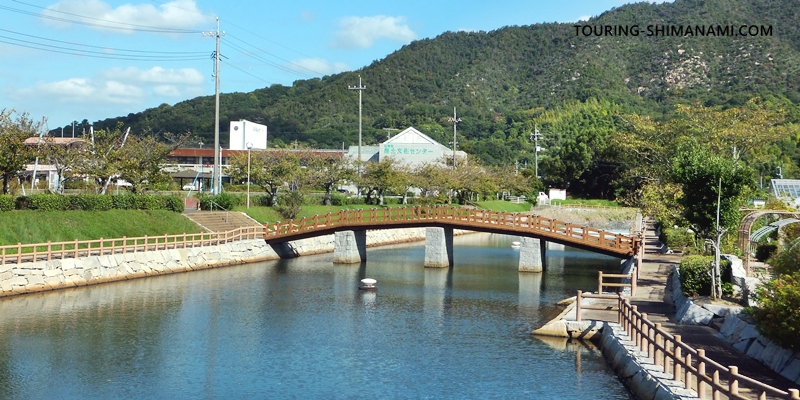 【写真】大島の外周コース:バラ公園がちょうど中間地点