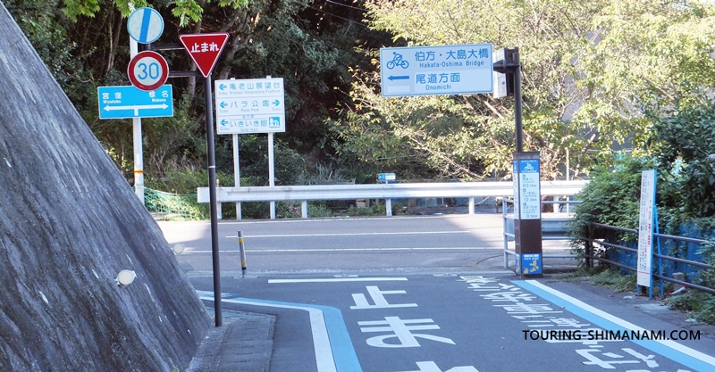 【写真】大島の外周コース:メインルートと外周コースの分かれ道