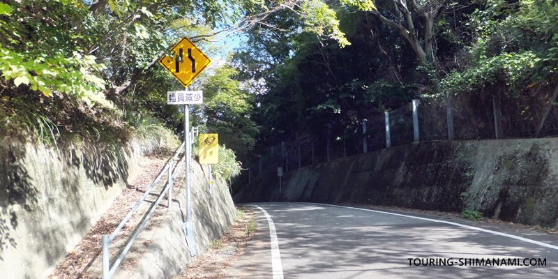 【写真】大島の外周コース:西側外周コース難所である田浦峠の頂上