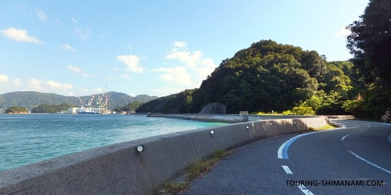 【写真】大島の外周コース:海沿いの区間のサイクリングが気持ちいい