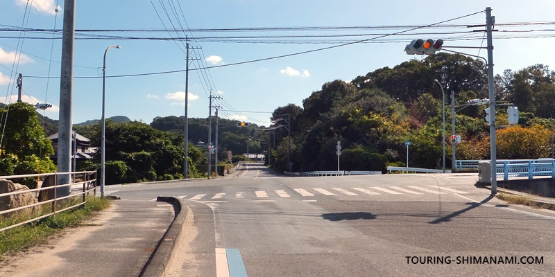 【写真】大島の外周コース:バラ公園前の交差点が分かれ道
