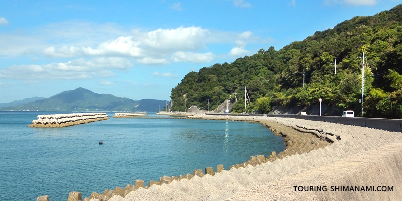 【写真】大島の外周コース:吉海町泊の集落まで海沿いを進む